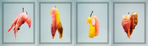 餌の付け方写真
