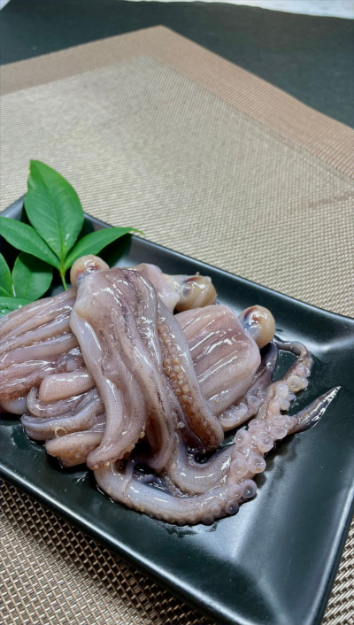 Photo:HF-ika-geso