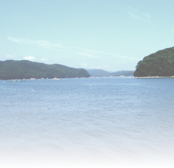 きびなごExTOP背景
