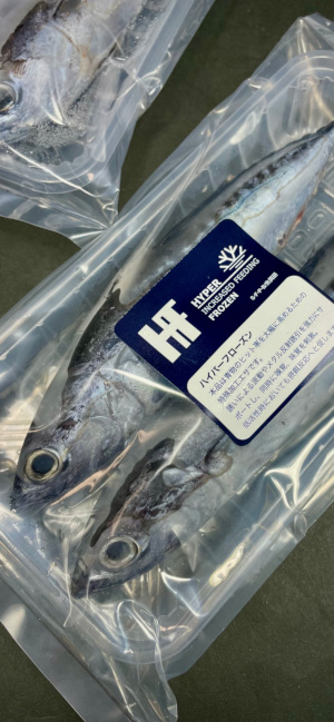 HFろうそくPack