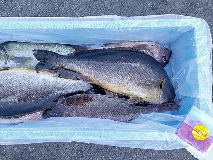 海上釣り堀の投稿写真3