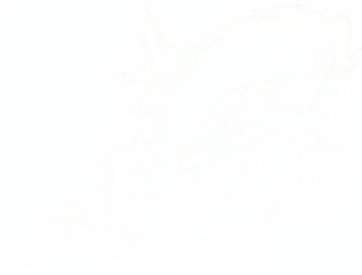 鶏鯛イメージ3