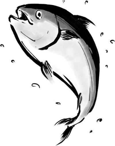 INSERT:魚